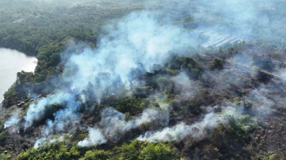 Asap putih membubung dari lahan yang terbakar dalam foto udara kebakaran hutan dan lahan di Kalimantan Timur